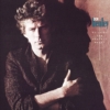 Don Henley / Building the Perfect Beast (1984年) フロント・カヴァー